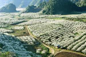 ฤดูไหนสวยที่สุดสำหรับการไปเที่ยวหมกโจว